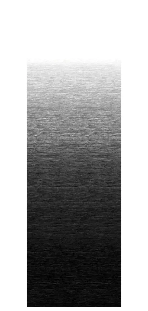R/F UNIV POL ONYX          16'