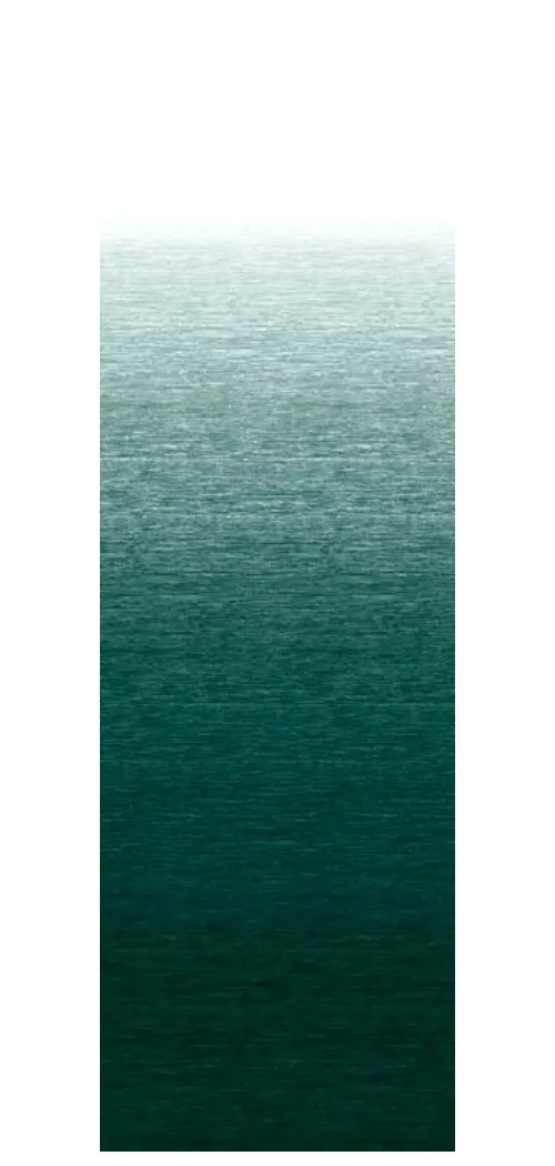 R/F UNIV POL MEADOW GREEN  19'