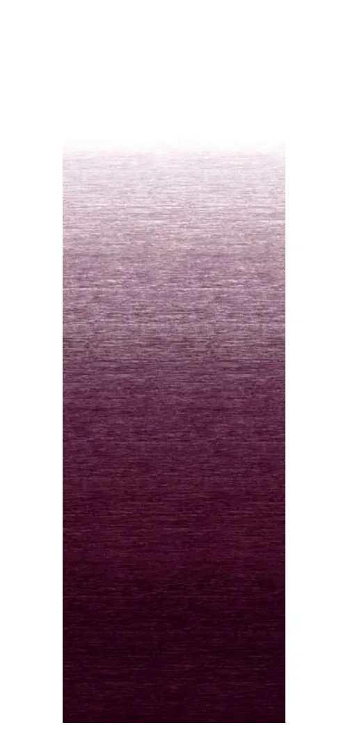 R/F UNIV POL MAROON        14'