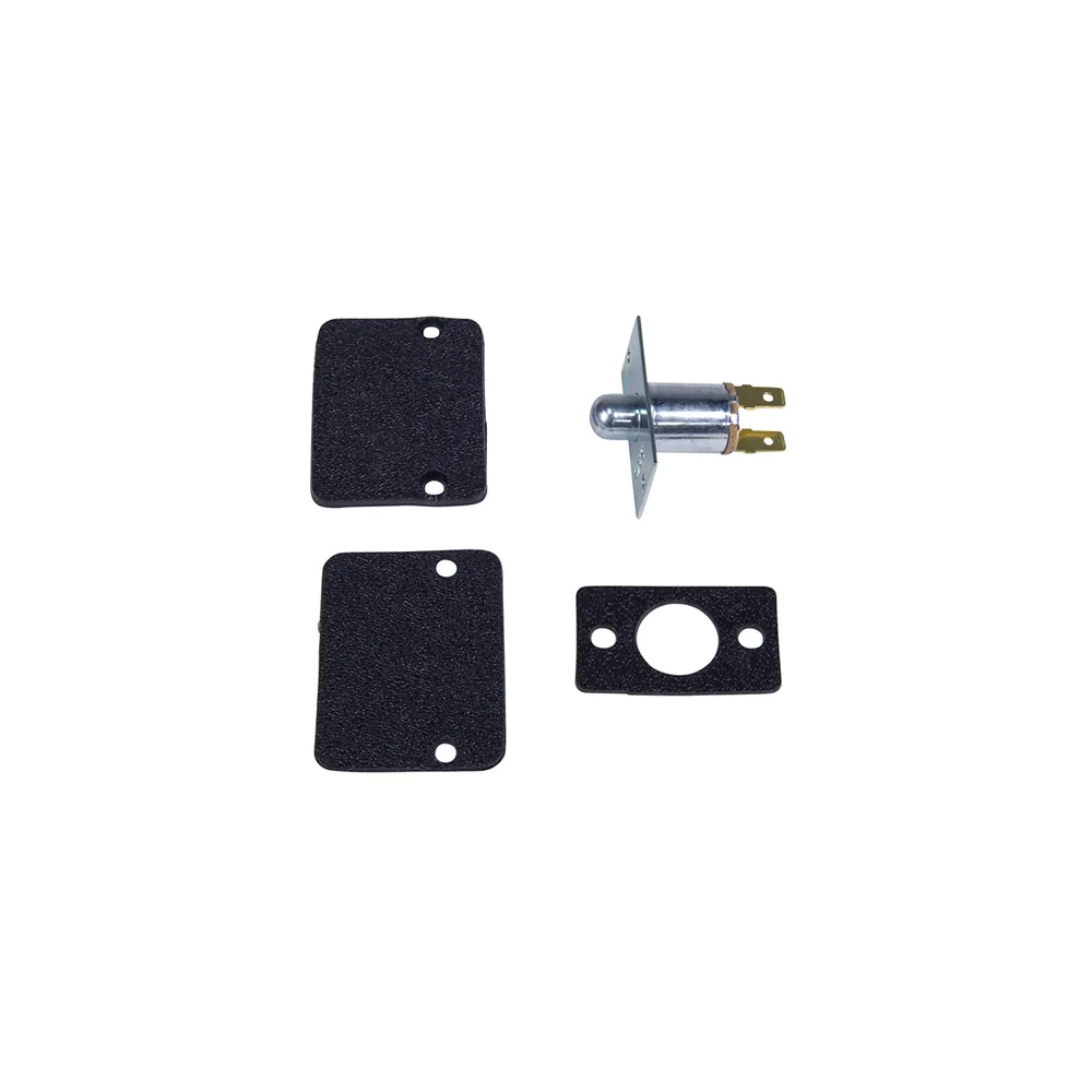 PLUNGER DOOR SWITCH  ref # 905