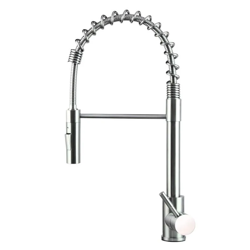 Stainless Steel Spring Faucet