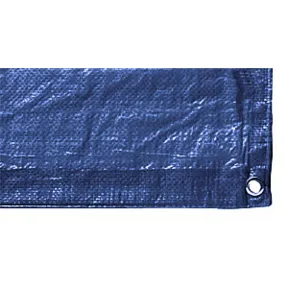 TARP BLUE 10X20