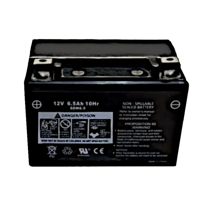 Battery P4500I