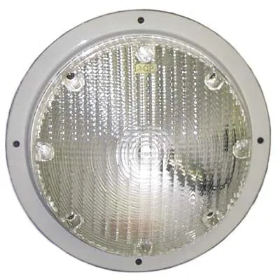 Scare Light with White Base