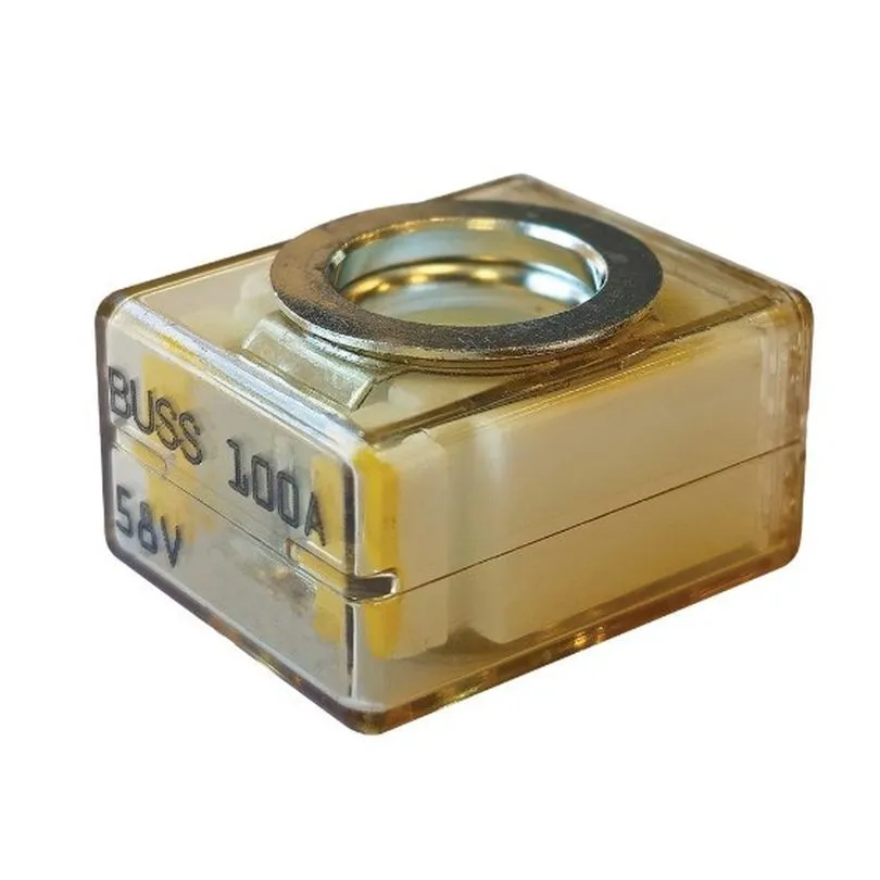 100 Amp Replacement Fuse