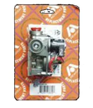 ATWOOD WH DUAL S/VALVE