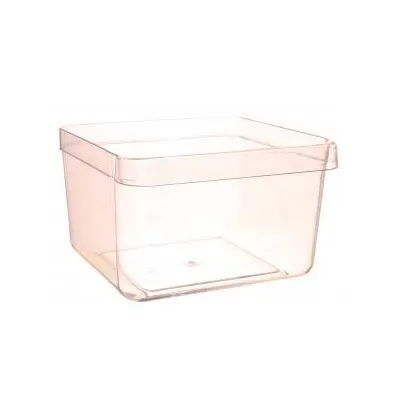 BIN CRISPER CLEAR