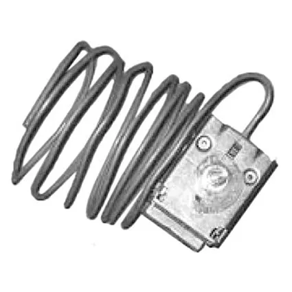 Thermostat Electric