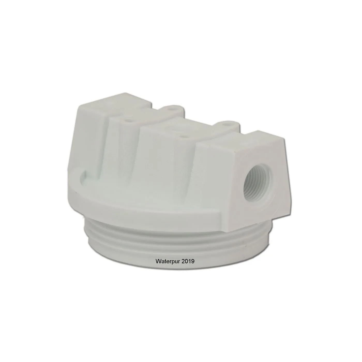 WaterPur CCI-10-CLW CAP