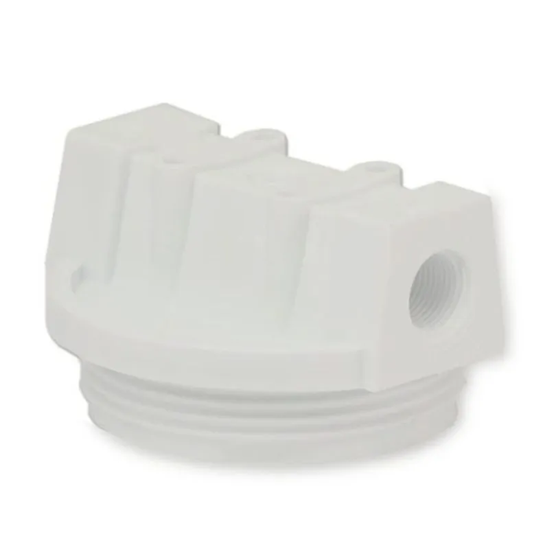 WaterPur CLW12 CAP