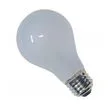 INCANDESCENT BULB A19 12VOLT S